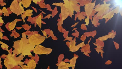abstract autumn maple leaves falling 4k animation loop background alpha channel.