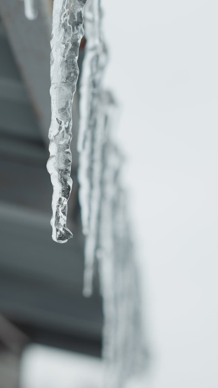 primo piano del bordo del tetto metallico della casa coperto da lunghi ghiaccioli che si sciolgono e gocciolano gocce d'acqua, evidenziando intricate texture congelate e il processo naturale di disgelo