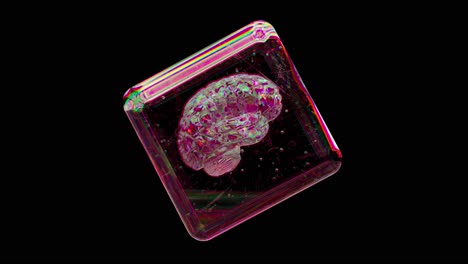 brain in a crystal cube