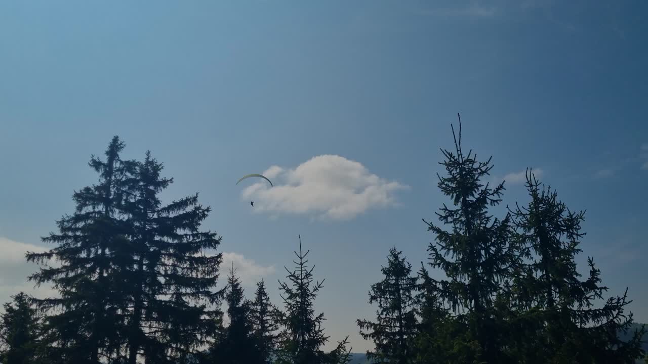 A paraglider soars swiftly against a bright blue sky, disappearing behind pine trees in the Fribourg Alps at Schwarzsee, Switzerland