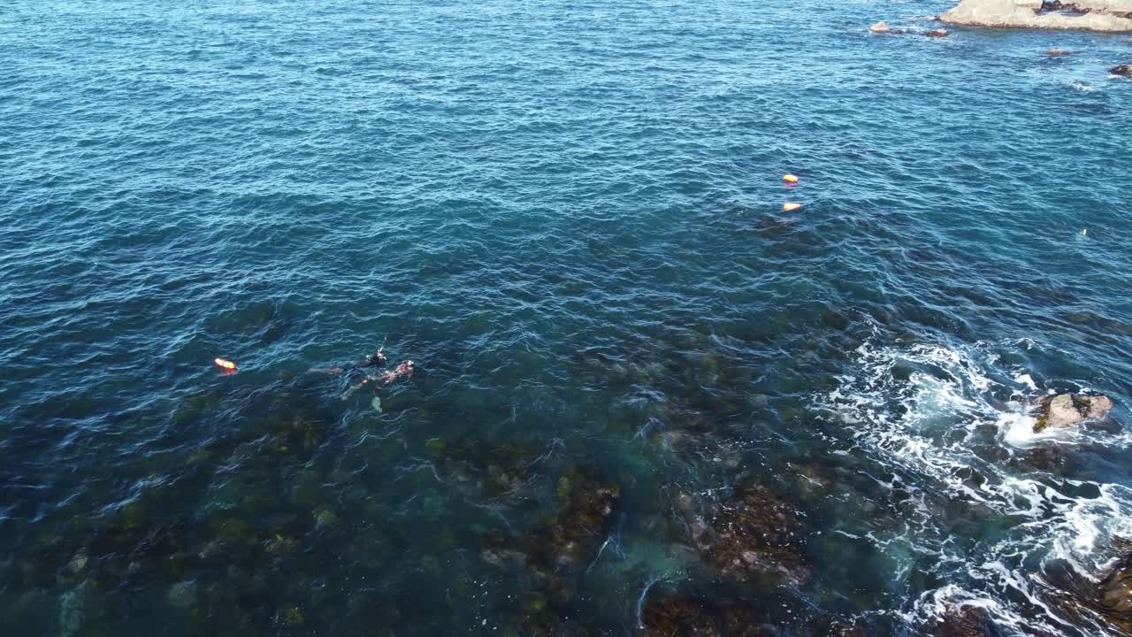 dos buzos nadando en agua hermosa, clara y azul