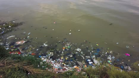 basura plástica y otros desechos flotando en el agua