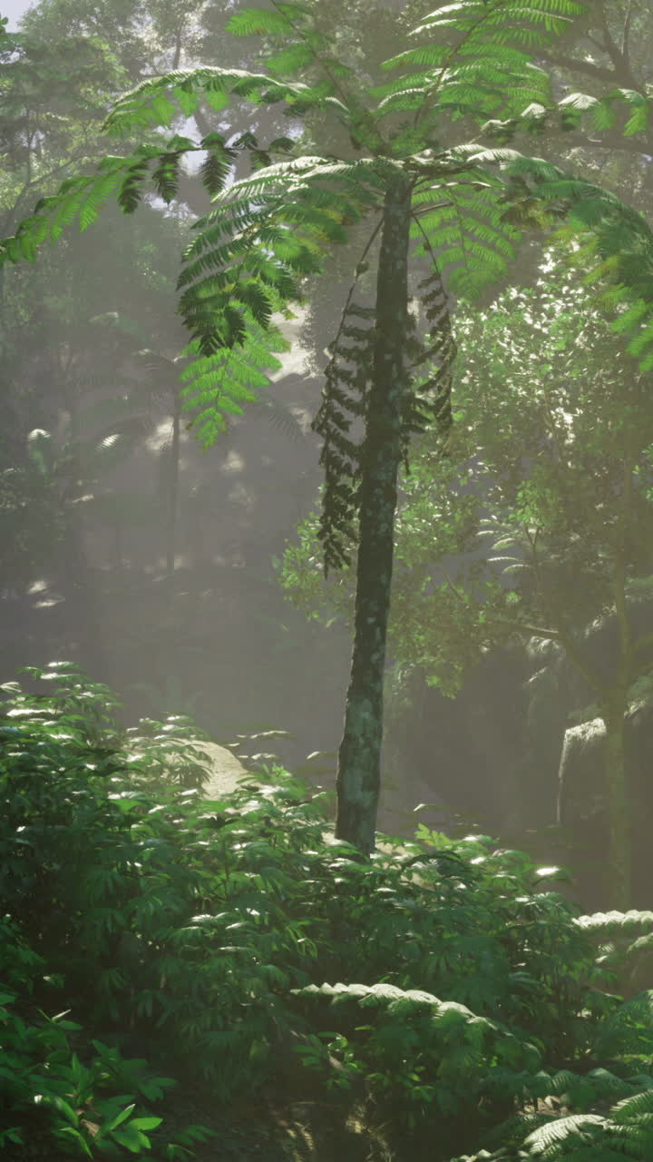 Lush tropical rainforest with sunlight filtering through greenery