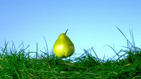 pear falling in the grass on blue background