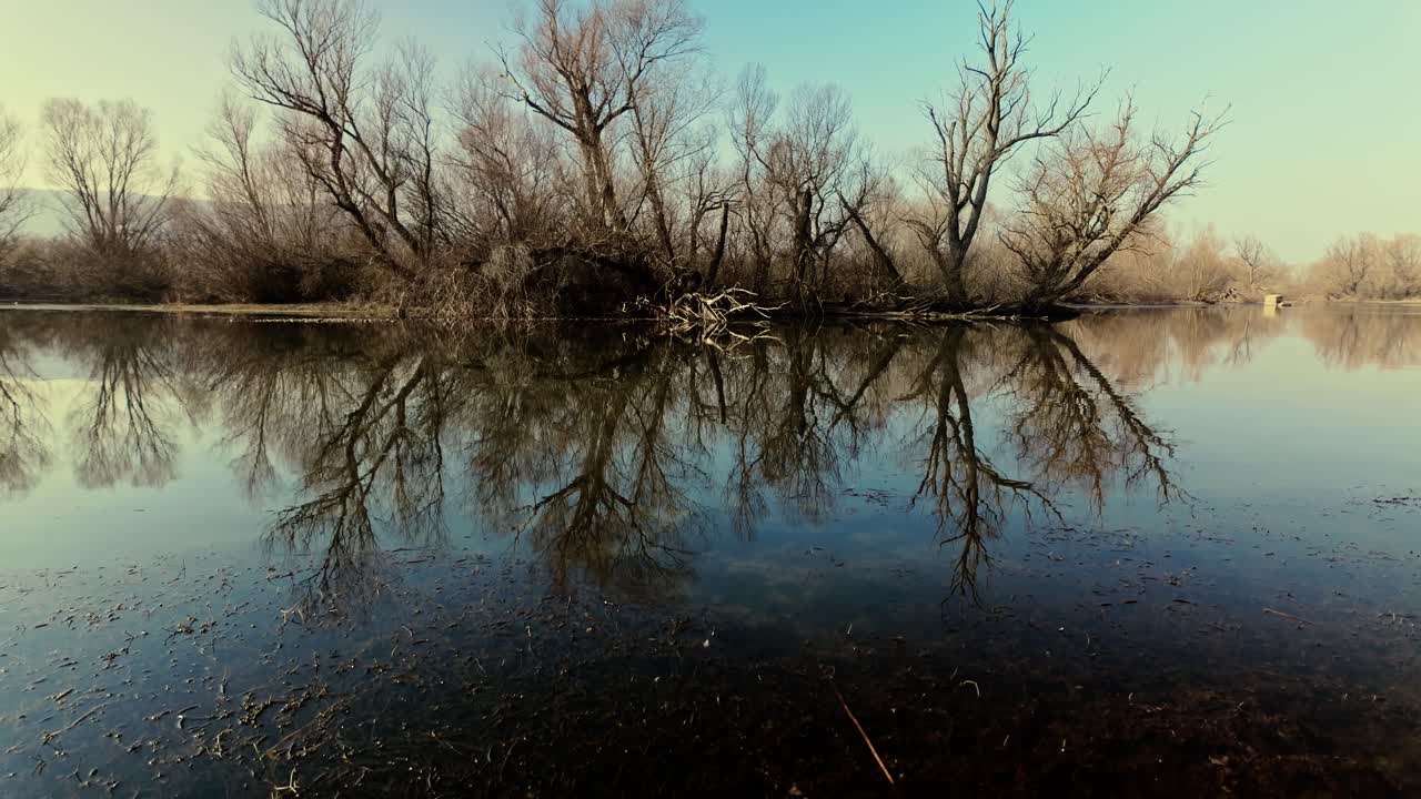 Leafless tree branches of winter reflect on the calm, mirror-like surface of a river. Lifting shot