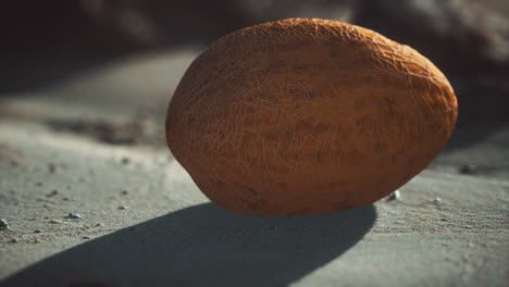 melón del desierto en la playa de arena