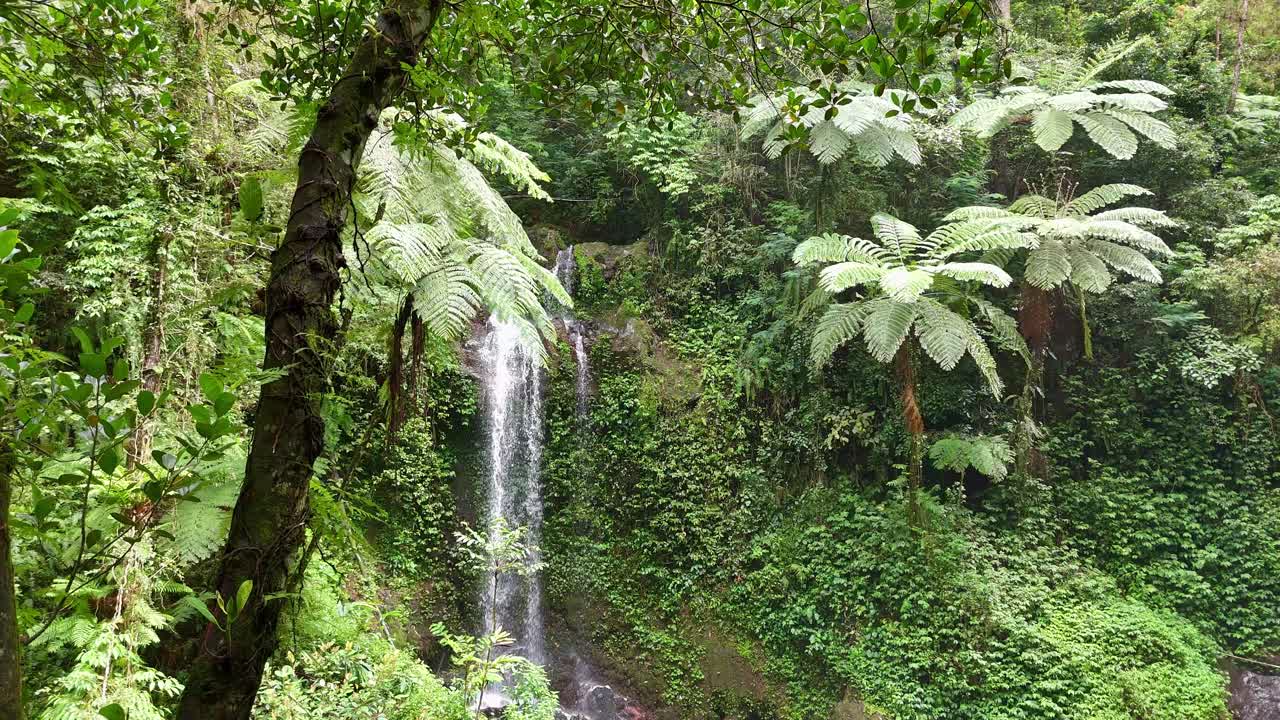 Cascata panoramica nascosta in una giungla tropicale, circondata da una ricca vegetazione e texture naturali, ideale per filmati naturalistici e d'avventura