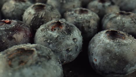 large dark blue blueberries covered with drops of water. the use of blueberries for medicinal purposes. lowering blood sugar when eating blueberries.