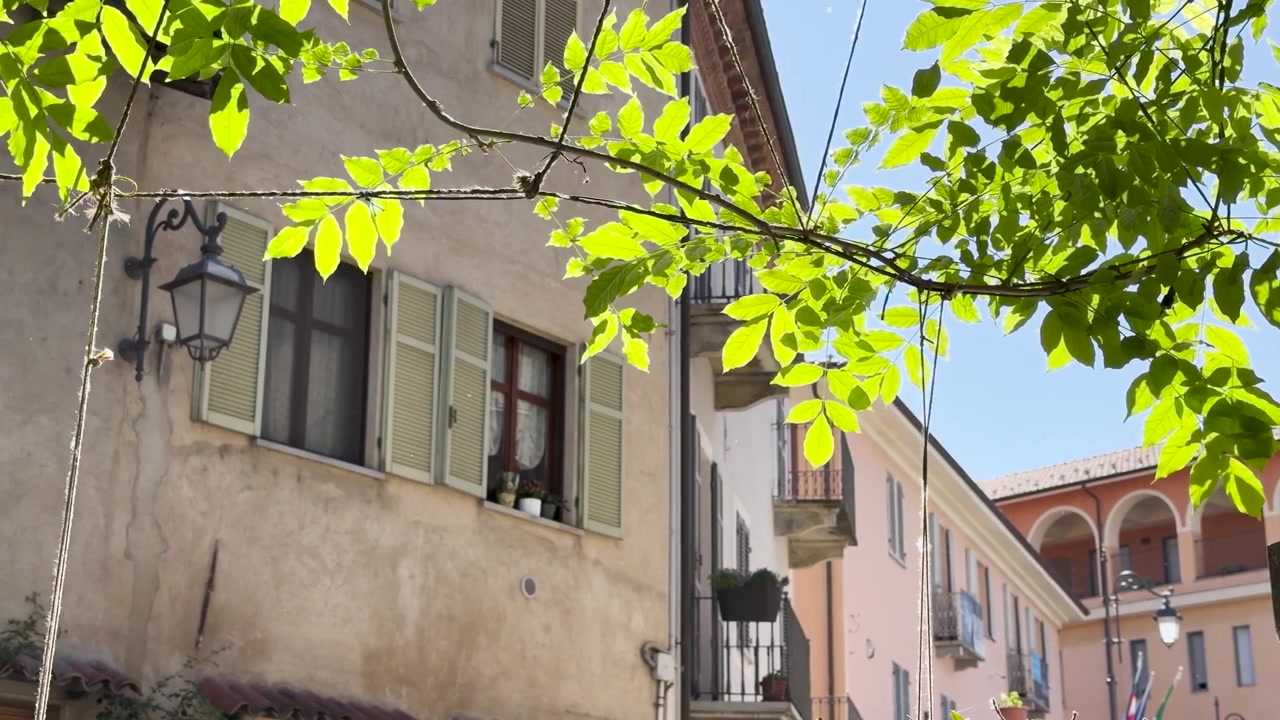 La luce del sole illumina storiche facciate di edifici italiani incorniciate da vivaci foglie verdi in Piemonte.
