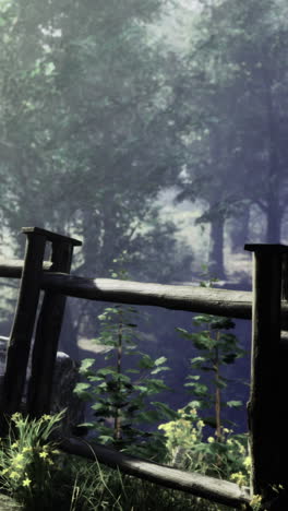 Serene woodland path with wooden fence and misty forest backdrop