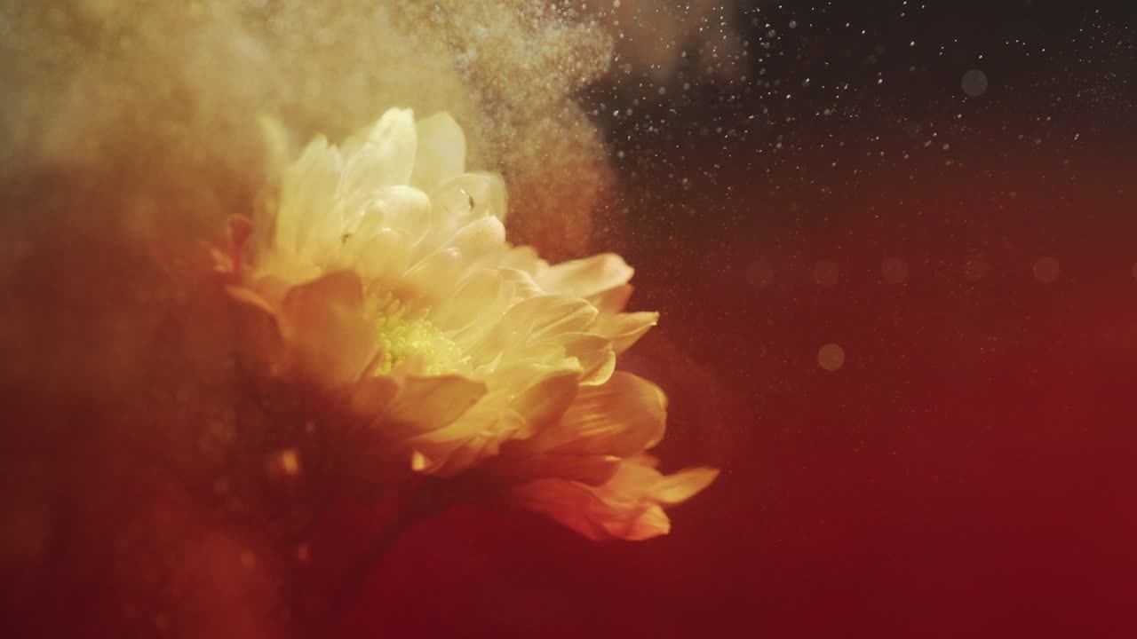 White flower in water red smokey bubbles rise slow motion abstract