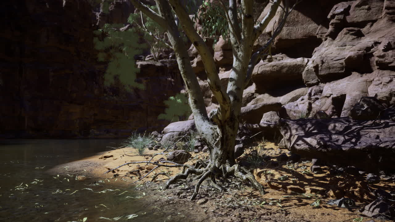 Vibrant tree with exposed roots beside serene water in a rocky gorge