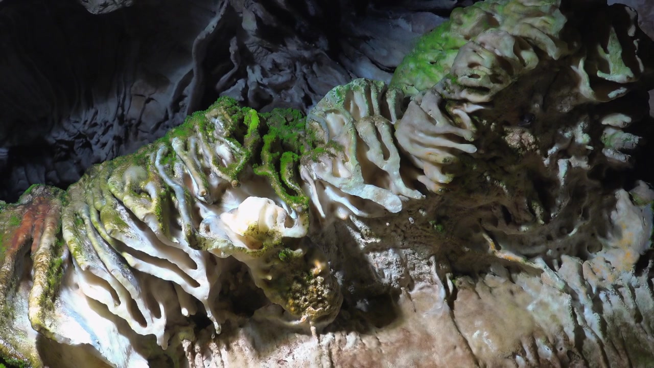 Close-up of Mossy Stalactite Formations Inside a Dark Cave