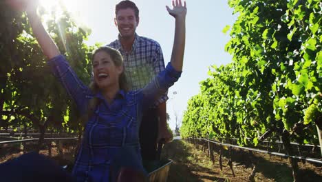 Man-carrying-woman-in-wheelbarrow-through-vineyard