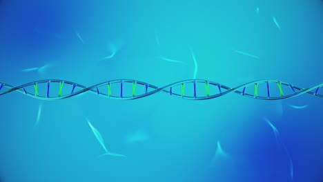 green and blue dna strand animation on light blue looping background