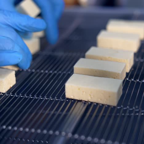 cheese manufacturing process
