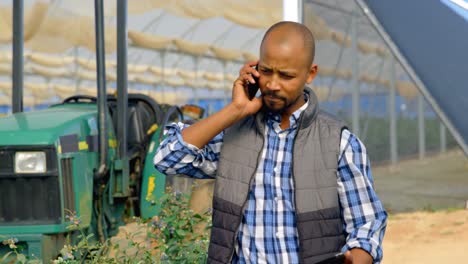 man talking on mobile phone in blueberry farm 4k