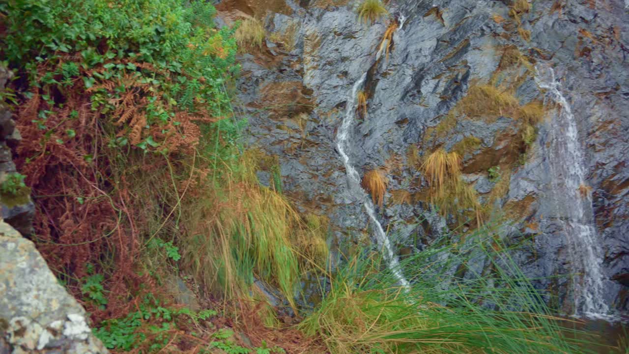 Vista panorámica de una pequeña cascada en el bosque a cámara lenta