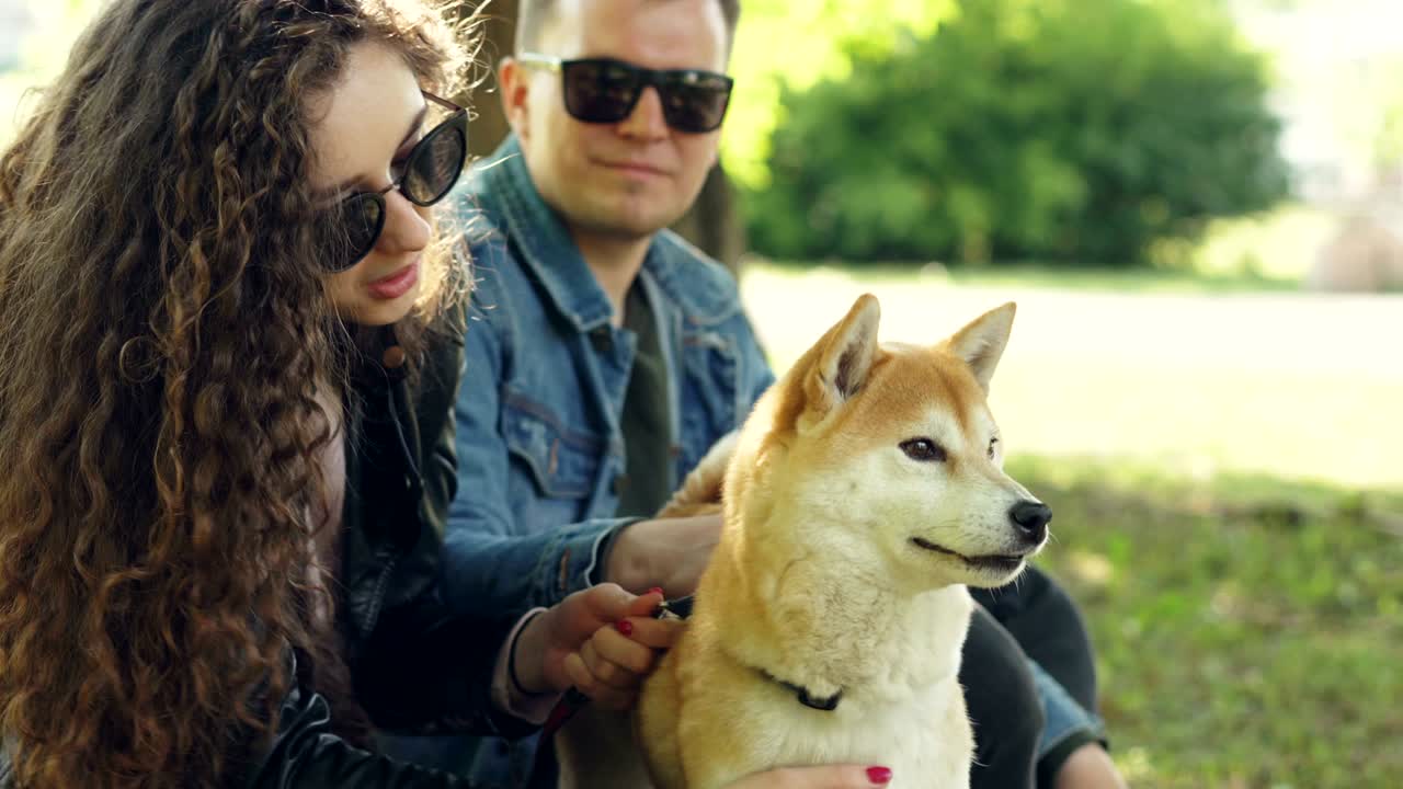 행복한 커플 여자친구와 남자친구는 공원에서 귀여운 강아지를 만지고 이야기하고 있습니다. 여자와 남자는 캐주얼 옷과 선글라스를 입고 있습니다. 아름다운 공원은 배경입니다.