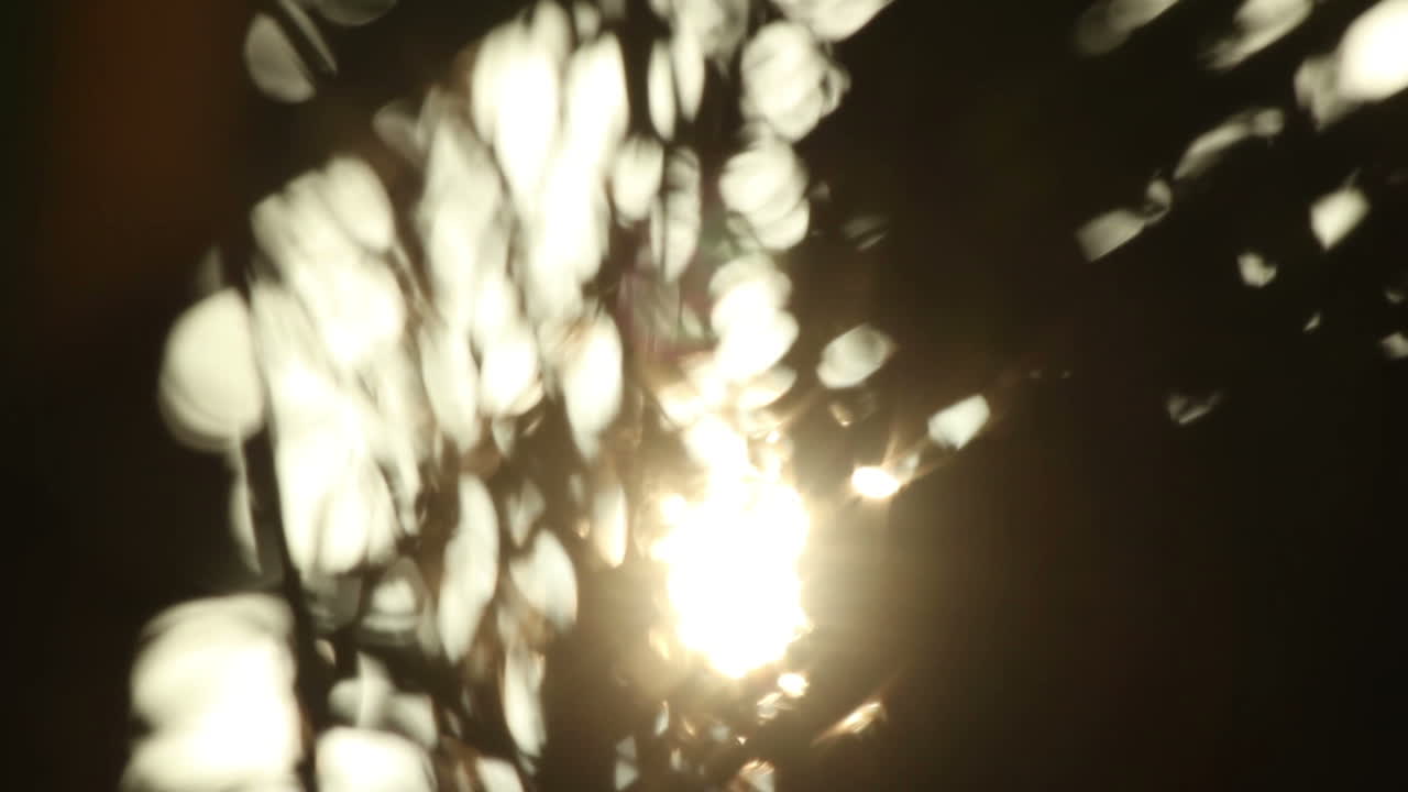 канкун палмс видео 18