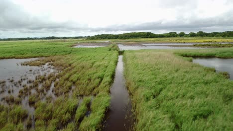 drone view following a water stream of a river- rice pads lines-smart agriculture monitoring with the drone in the rice pads