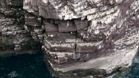 seabirds flying over a turquoise green ocean crashing against the base of a tall sea stack rising out of the ocean and covered in a seabird colony of guillemots and kittiwake