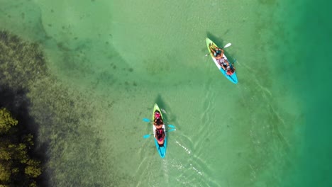 toma de seguimiento de personas en kayak en los manglares de al reem