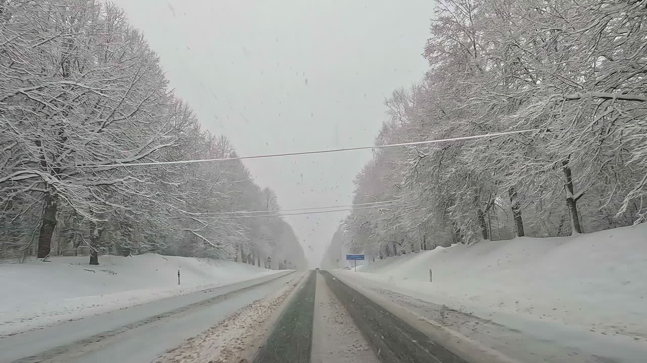 목가적 인 눈 덮인 시골과 숲을 순항하는 자동차 여행