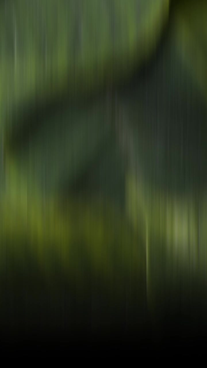 Solid Black Image