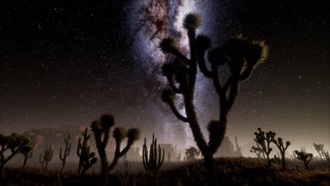 Hyperlapse-In-Der-Wüste-Des-Death-Valley-Nationalparks-Im-Mondlicht-Unter-Galaxiensternen