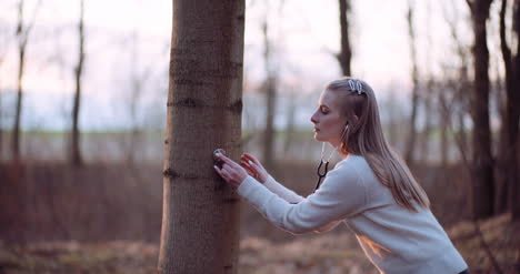 woman uses a stethoscope and examines a tree in the forest 1