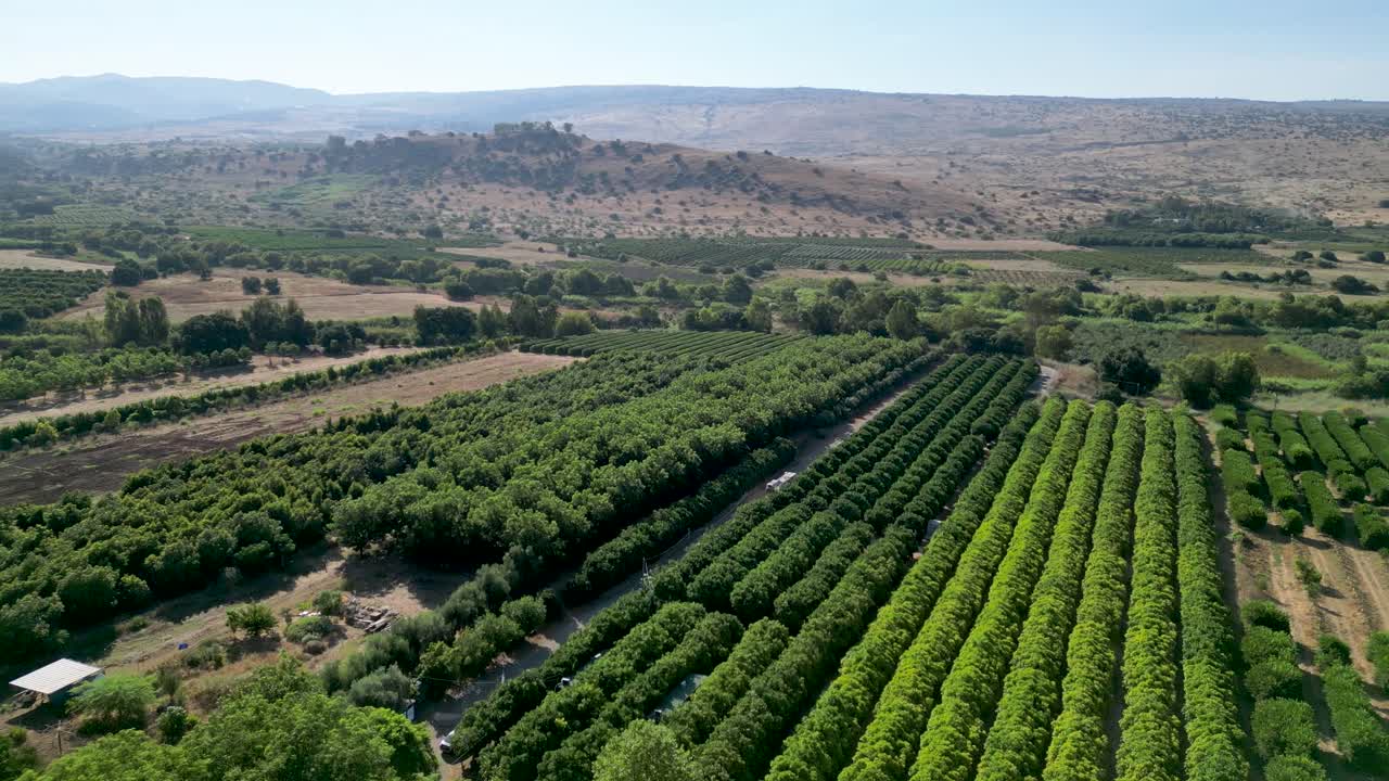 4K high resolution drone video of the She'ar Yashuv village- Northern Israel during the summer months- Israel
