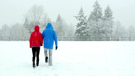 couple walking hand in hand in snowy landscape