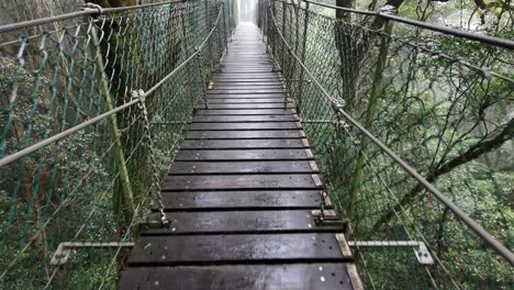 Hiking along a moving suspension bridge through a rainforest setting on a raining fog covered morning