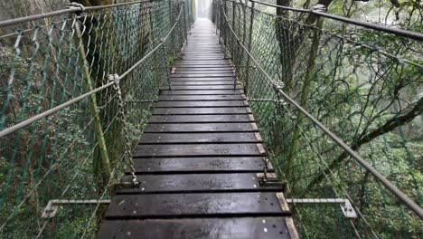 hiking along a moving suspension bridge through a rainforest setting on a raining fog covered morning