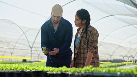 farmers inspecting seedlings in a greenhouse