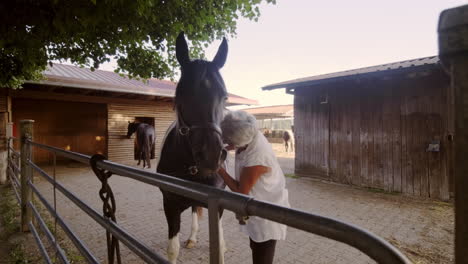 Experimente-La-Conexión-Sincera-Mientras-Una-Anciana-Cuida-A-Su-Amado-Caballo-En-El-Tranquilo-Patio