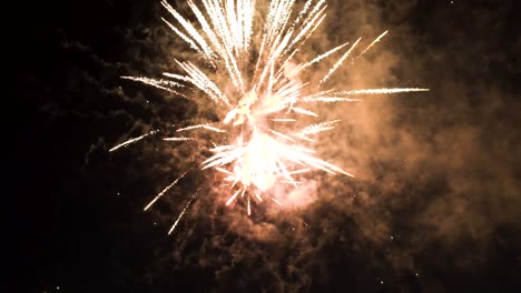 fuegos artificiales coloridos explotando en el cielo oscuro en la noche