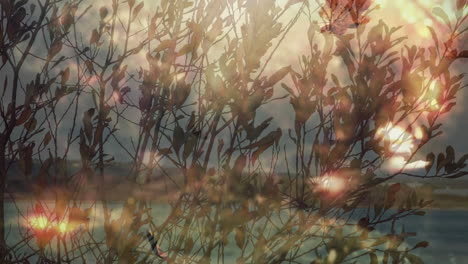 sunlight filtering through branches creating animation over serene lake landscape