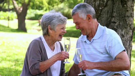 senior couple relaxing in the park together having champagne