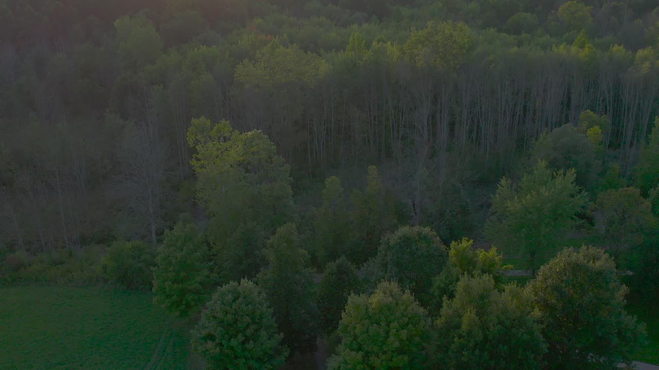 조셉 스미스 가족 농장, 프레임 하우스, 사원, 몰몬교와 몰몬경을 위한 뉴욕 팔미라의 방문자 센터 근처에서 슬로우 모션으로 신성한 숲을 촬영했습니다.