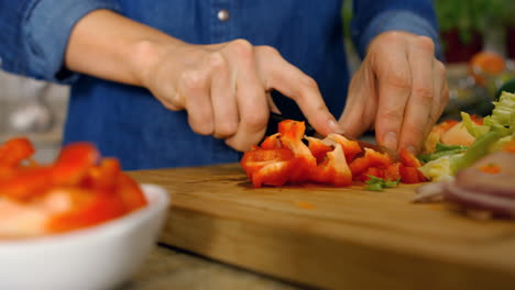 mujer cortando verduras