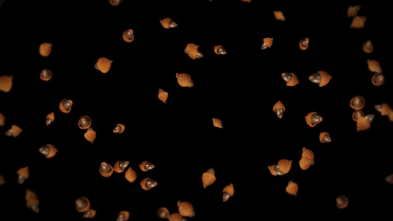 검은색 바탕에 많은 가을 아크론을 날아. 가을의 상징, 오크 견과류, 가을의 선물. 아크론 씨의 3d 애니메이션 회전. 루프 애니메이션.