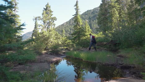 hiker walking left around an alpine tarn pond - mackenzie range, vancouver island, bc, canada