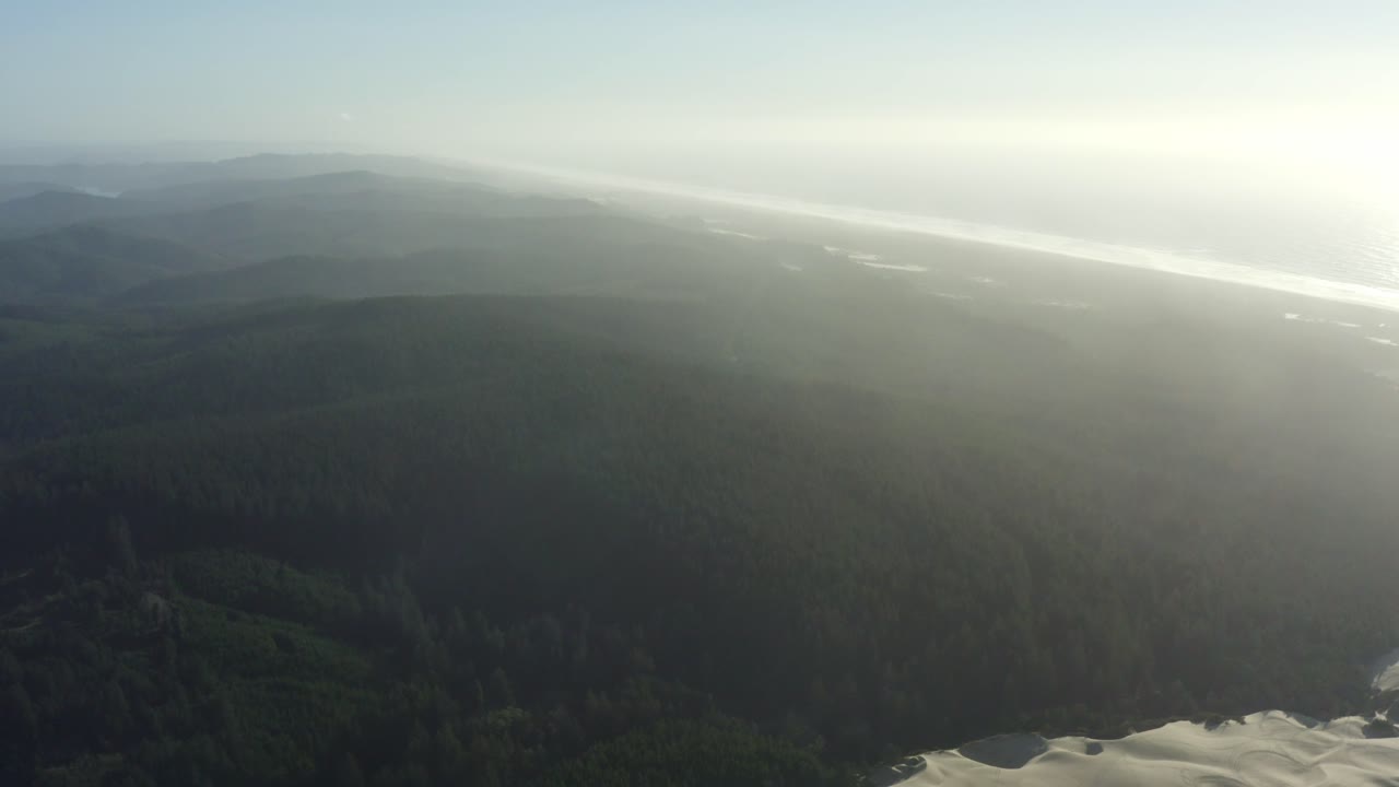 aéreo de un bosque épico de hoja perenne al atardecer con el océano a lo lejos
