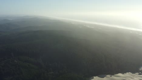 Aerial-of-epic-evergreen-forest-at-sunset-with-ocean-in-the-distance