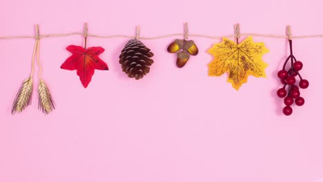 autumn decorations hanged on rope and move on pink background. stop motion