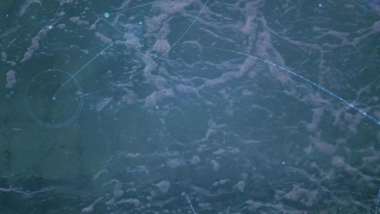 animación de la red de conexiones a través de la natación de nadadoras en forma