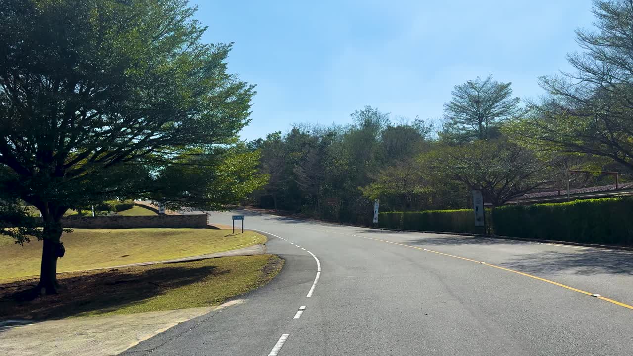 나무 와 초록색 으로 둘러싸인 도로