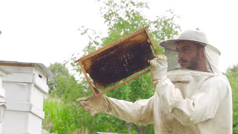 Honigproduktion.